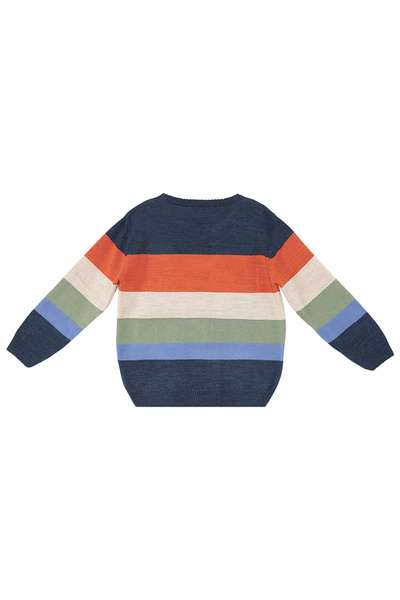 Denokids Boy's Animals Patterned Sweater