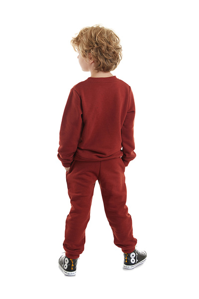 Denokids Tiger Boy Tracksuit Set - Comfortable Design