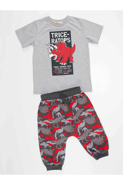 MSHB&G Triceratops Boy T-shirt Capri Shorts Set