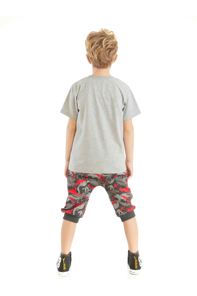 MSHB&G Triceratops Boy T-shirt Capri Shorts Set
