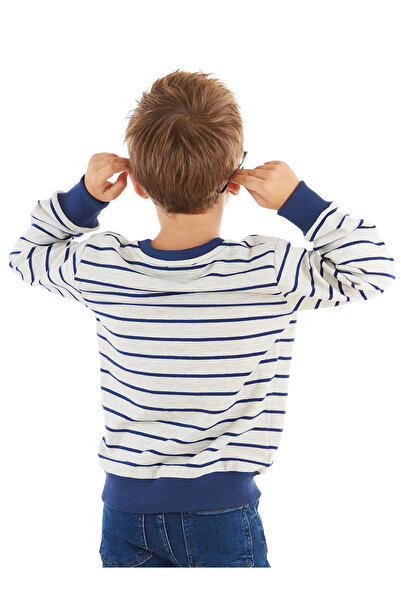 Denokids Світшот для хлопчика з довгим рукавом у смужку з лисицею