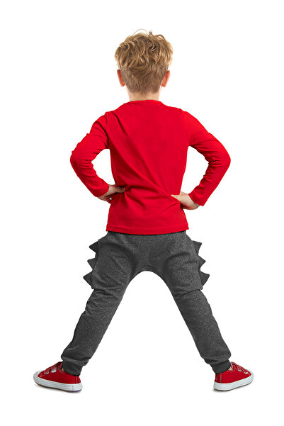 Denokids Boy's Winter T-shirt and Trousers Set - Caterpillar Dino