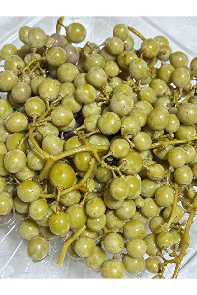 Çubuk Yeşilçam Turşuculuk KORUK-ÜZÜM TURŞUSU (ANKARA MİSKETİ) 1000cc