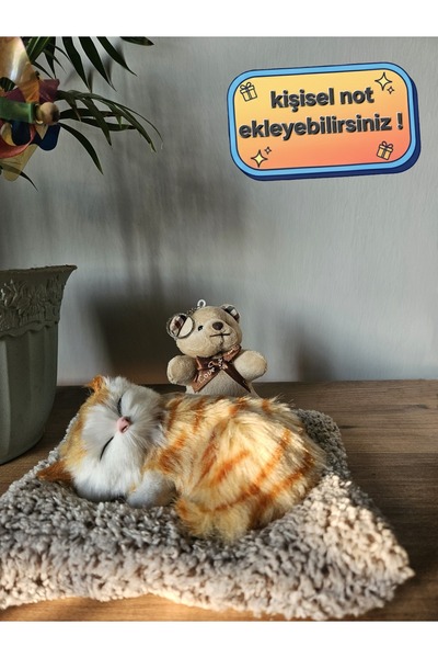 Rüya Kıyısı Kişiye Özel Sevimli Uyuyan Miyavlayan Peluş Kedi Ve Ayıcık Anahta...