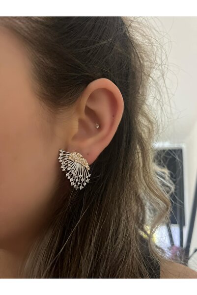 MyladyAccessoriess Çift Renk Ve Zirkon Taş Detay Kanat Küpe (Çelik)