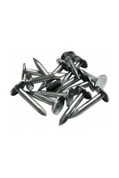 Genel Markalar Çatı Çivisi -Şıngıl Çivisi -2cm (Pk./Kg.: 1Kg.)