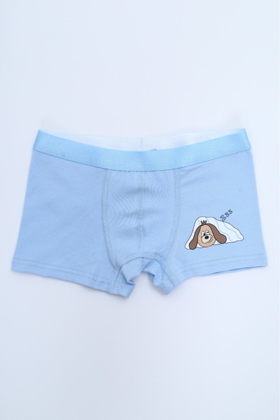 Toontoy Boy's Garni Stitched 4-Pack Boxer