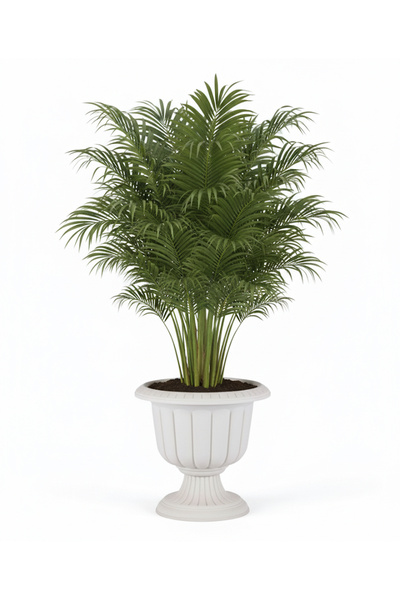 SERİNOVA Nergis Saksı No.2 25,3 Litre Beyaz Renk