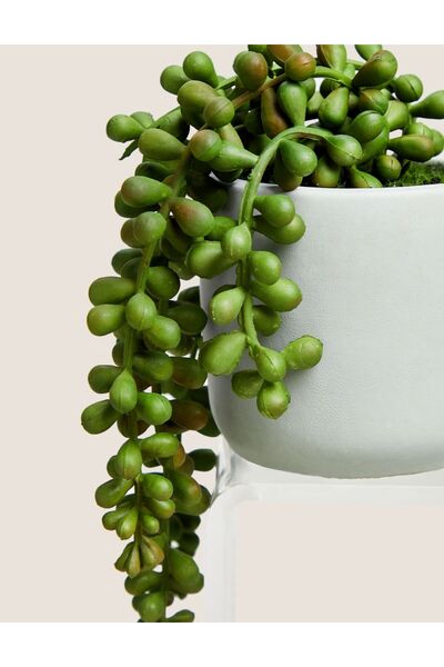 Marks & Spencer Orta Boy Yapay Bitki