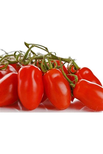 Genel Markalar Dünyam 20 Adet Patio San Marzano Domates Tohumu