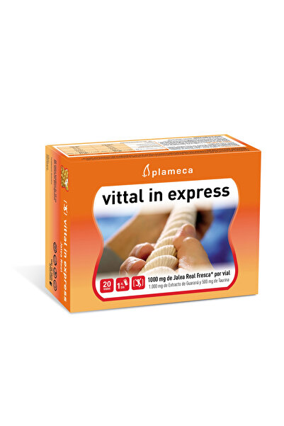 PLAMECA Vittal In Express