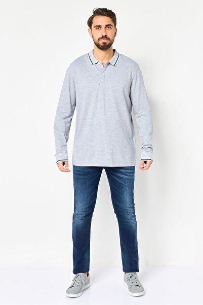 CELIO Men Regular Fit Solid Long Sleeves Polo Shirt, Grey