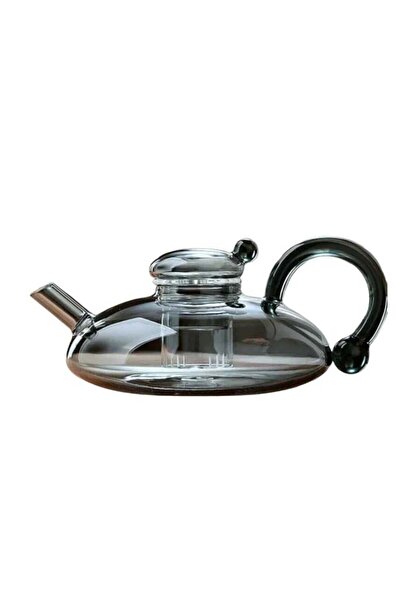 Beauenty إبريق شاي من زجاج البوروسيليكات للشاي السائب والشاي المعطر