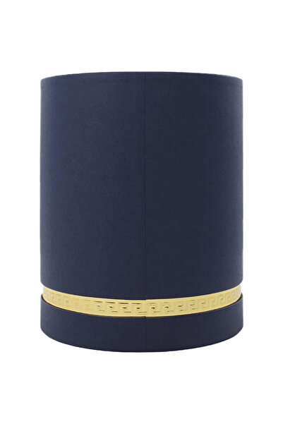 Versace Versace Dylan Blue Pour Femme for Women Eau de Parfum Spray, 3.4 oz, Multi-Fragrance