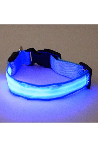 PROCART Zgardă cu lumină LED pentru câini, mărimea S, 3 moduri de iluminare, albastră