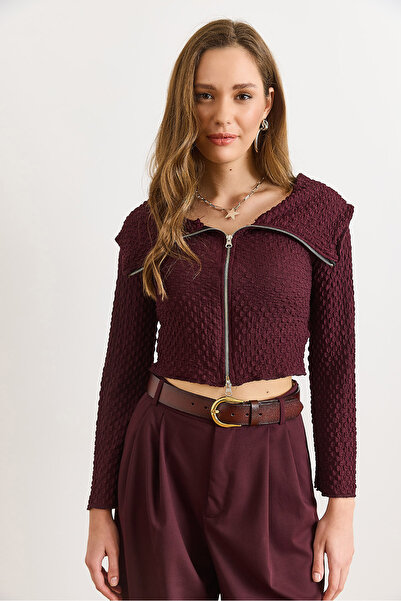 Olalook Women's Plum Textured Zippered Madonna Blouse Blz-19003172