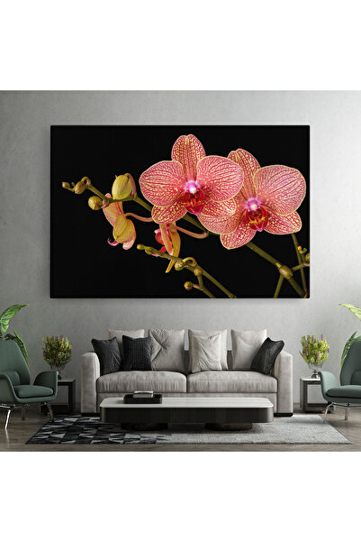Arthub Canvas Painting, Bedroom And Living Room, Flowers, Pink Orchids On Black