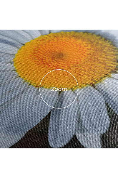 Arthub Canvas Painting, Bedroom And Living Room, Flowers, Strong Yellow Daisy