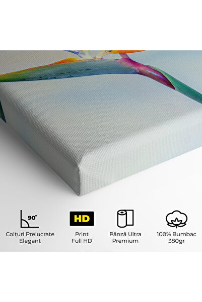 Arthub Canvas Painting, Bedroom And Living Room, Flowers, Green Orange Exotic