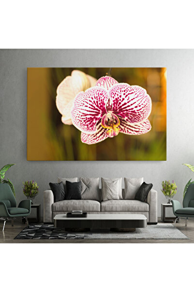 Arthub Canvas Painting, Bedroom And Living Room, Flowers, Garden Orchids