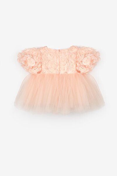Le Mabelle Salmon Rose Detailed Baby Girl Dress - Elina