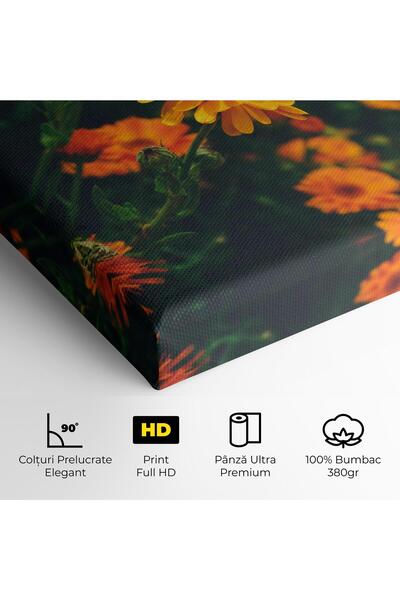 Arthub Canvas Painting, Bedroom And Living Room, Flowers, Garden Orange Flowers