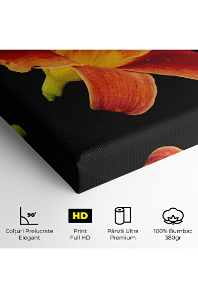 Arthub Canvas Painting, Bedroom And Living Room, Flowers, Exotic Orange Red