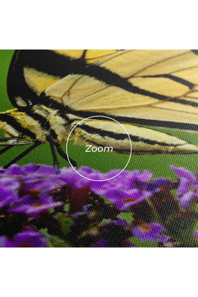 Arthub Canvas Painting, Bedroom And Living Room, Flowers, Cream Wild Butterfly