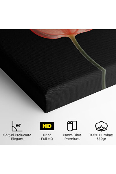 Arthub Canvas Painting, Bedroom And Living Room, Flowers, Pastel Pink Tulip