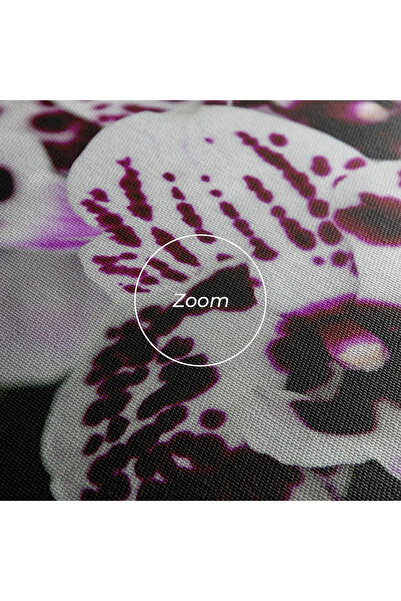 Arthub Canvas Painting, Bedroom And Living Room, Flowers, Dark Purple Orchids