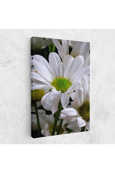 Arthub Canvas Painting, Bedroom And Living Room, Flowers, Green Middle Daisy View