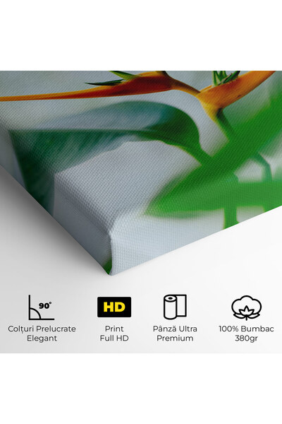 Arthub Canvas Painting, Bedroom And Living Room, Flowers, Exotic Orange Green