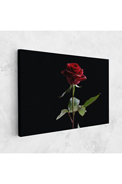 Arthub Canvas Painting, Bedroom And Living Room, Flowers, Beautiful Red Rose