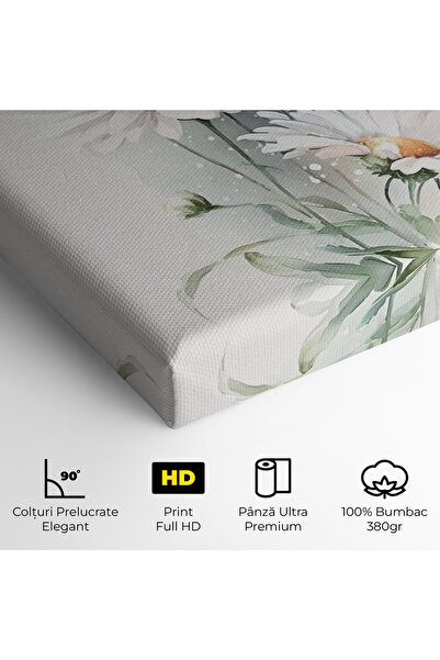 Arthub Canvas Painting, Bedroom And Living Room, Flowers, Dreamy White Daisy