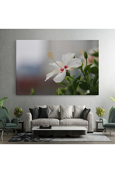 Arthub Canvas Painting, Bedroom And Living Room, Flowers, Exotic White Flower
