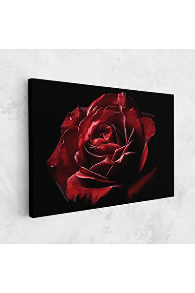 Arthub Canvas Painting, Bedroom And Living Room, Flowers, Big Red Rose