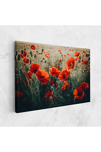 Arthub Canvas Painting, Bedroom And Living Room, Flowers, Poppy Grass Field