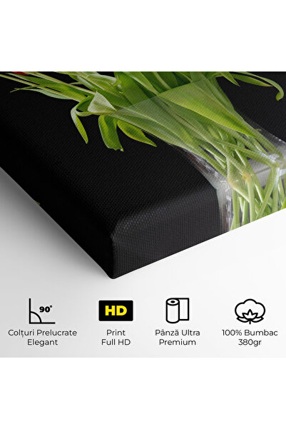 Arthub Canvas Painting, Bedroom And Living Room, Flowers, Tiny Tulips Vases