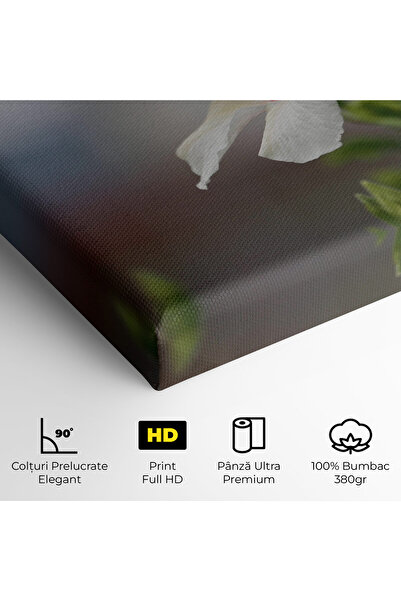 Arthub Canvas Painting, Bedroom And Living Room, Flowers, Exotic White Flower