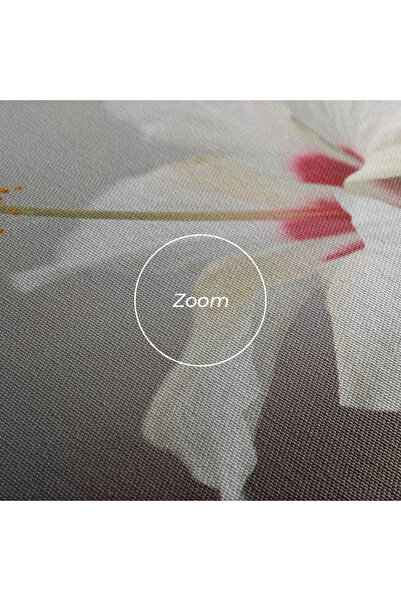 Arthub Canvas Painting, Bedroom And Living Room, Flowers, Exotic White Flower