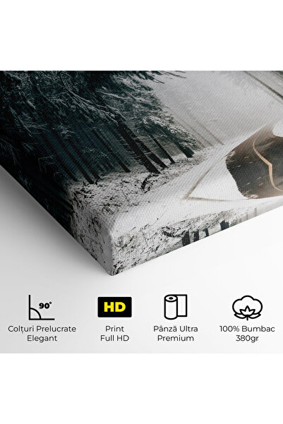 Arthub Canvas Painting, Bedroom And Living Room, Landscapes, Snow Road Dorest