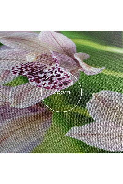 Arthub Canvas Painting, Bedroom And Living Room, Flowers, Cymbidium Orchid