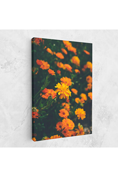Arthub Canvas Painting, Bedroom And Living Room, Flowers, Garden Orange Flowers