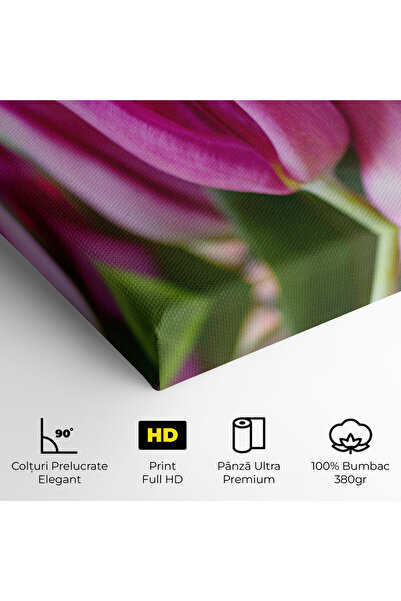 Arthub Canvas Painting, Bedroom And Living Room, Flowers, Purple Tulip Close Up