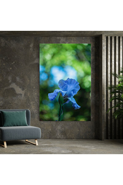 Arthub Canvas Painting, Bedroom And Living Room, Flowers, Blue Iris In The Garden