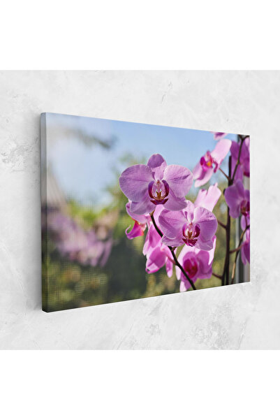 Arthub Canvas Painting, Bedroom And Living Room, Flowers, Orchids In The Garden