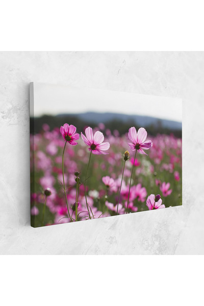 Arthub Tablou Canvas, Dormitor Si Living, Flori, Cosmos Flower