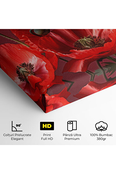 Arthub Canvas Painting, Bedroom And Living Room, Flowers, Red Poppies