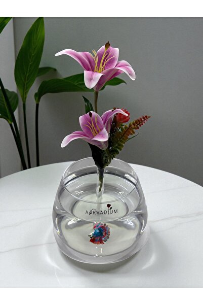 ASKVARIUM Hem Vazo Hem Çiçekli Fanus Akvaryum Beta ve Japon Balıkları İçin