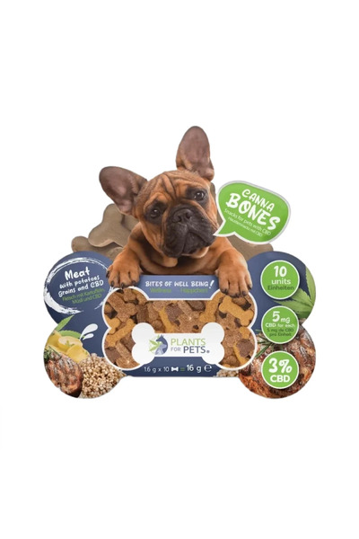 Plants for pets SET CBD Oil 10% CBG 1% dogs 10ml+CBD Balm 200mg Gentle care for dogs paws+CBD Reward 3%